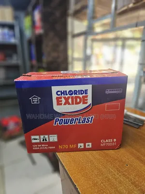 Chloride Exide Powerlast Battery