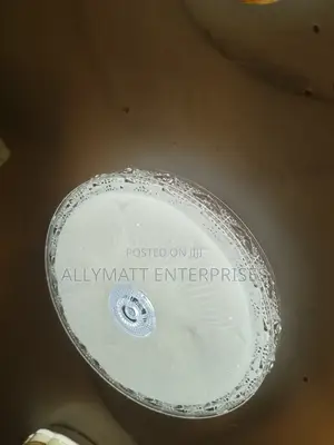 Led Ceiling Light