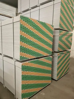 Lion King 9mm Gypsum Ceiling Board