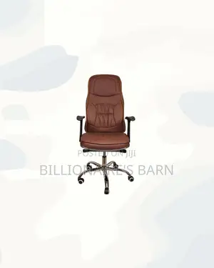 Professional Chair High Back Padded Armrest Kenya Wide Shipping