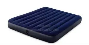Inflatable Air Mattress 4 by 6 With Fast Inflation