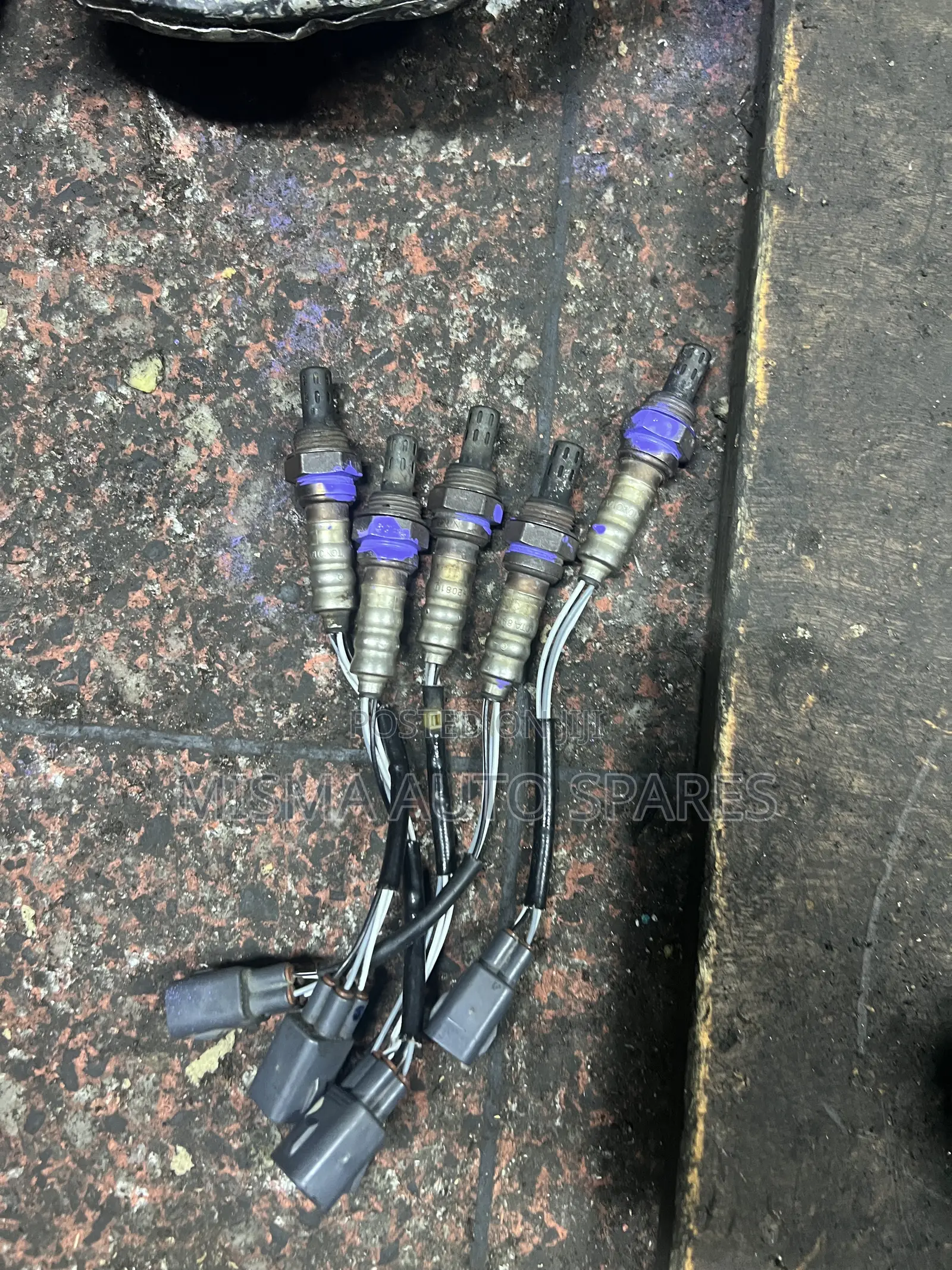 Oxygen Sensors