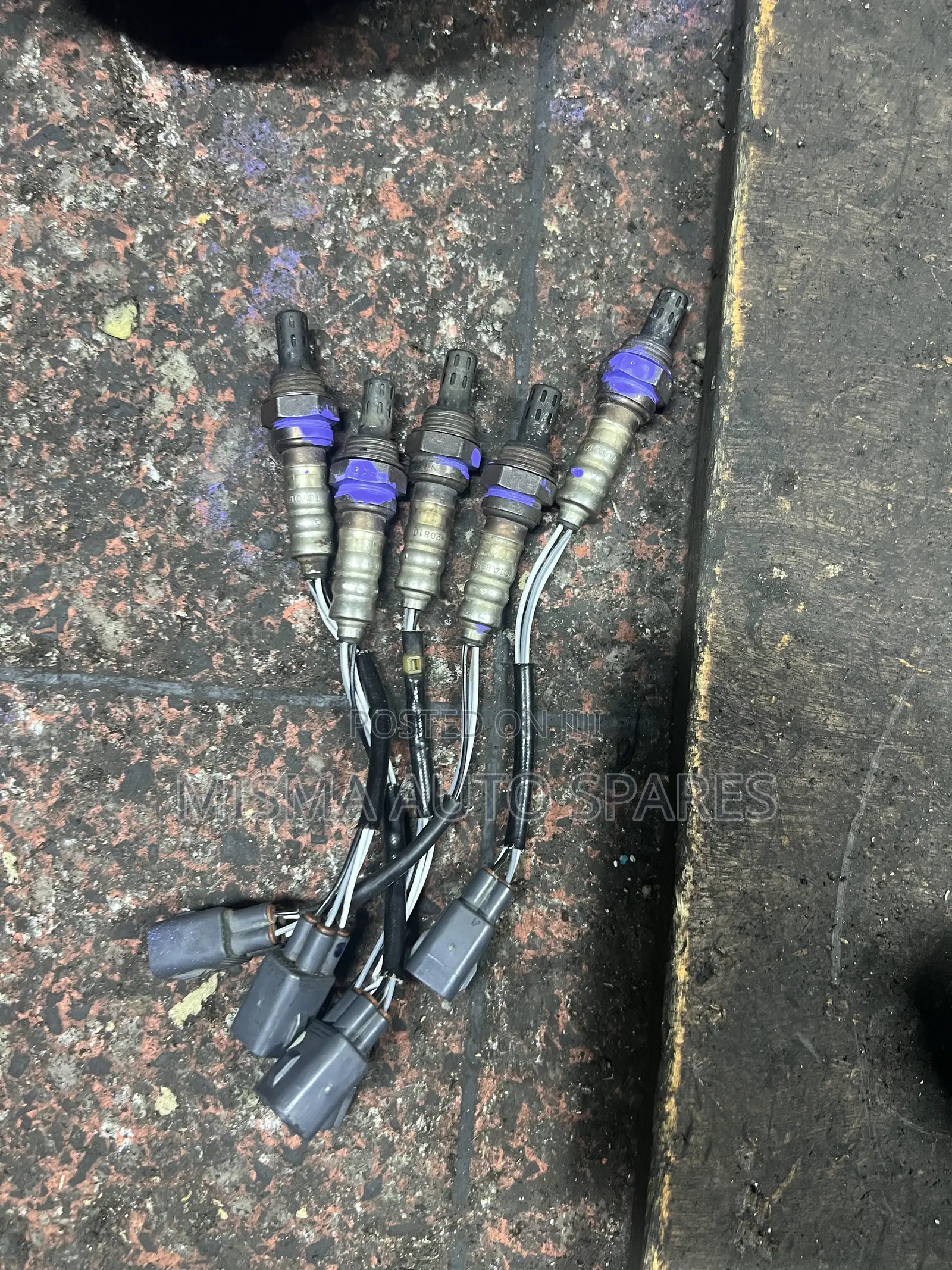 Oxygen Sensors