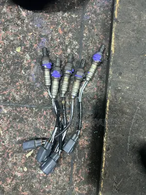 Oxygen Sensors