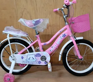 Flex Girls' Bike Size 16 – Confidence for Every Ride