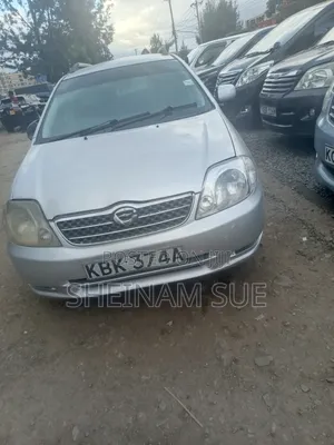 Toyota Corolla Fielder 2006 Silver