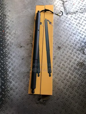 Electric Boot Shock Harrier 2022 Model