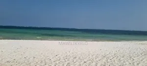 "Prime Beachfront Land: Exclusive Oceanfront Plot With Beach Access"