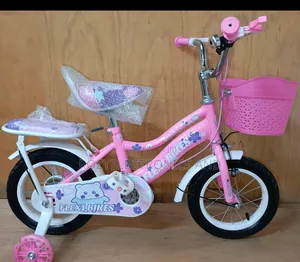 16 Inch Pink Bike