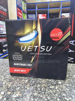 Ns60 Uetsu Car Battery