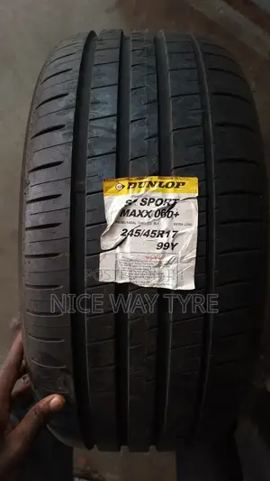 245/45r17 Dunlop