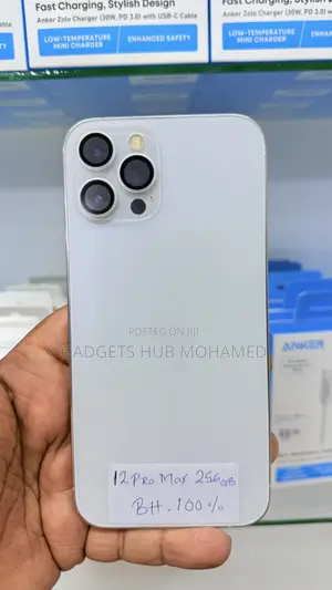Apple iPhone 12 Pro Max 256 GB White