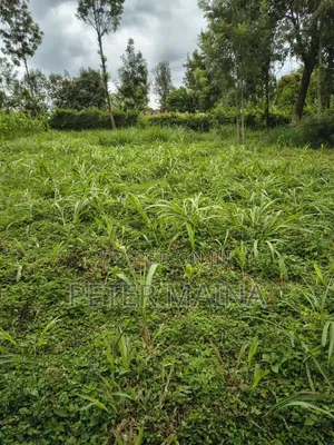 Plot for Sale 40 by 110 Located in Gachie