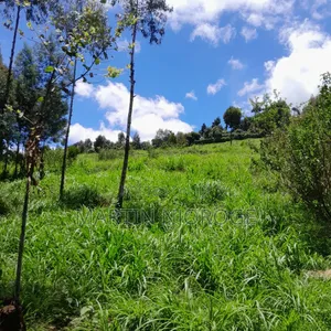 30 Acres Nyamamithi, Lower Subukia