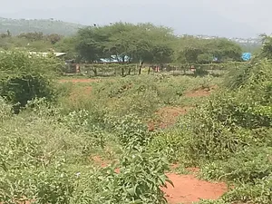 1 Acre KSH 2.5m | 100m From Tarmac | Next to Namanga Secondary
