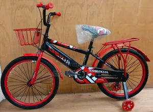 Bicycles *Size 20 With Mud Guard