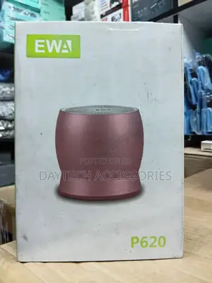 The Ewa P620 Is a Portable Rechargeable Bluetooth Speaker.