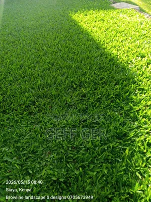 Landscaping Designs and Construction