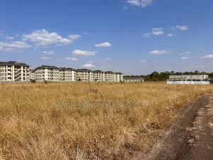 Kisaju - 1/8 Acre- 50 by 100