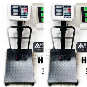 300kg Platform Weighing Machine Scale