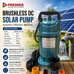 Premier 1100w Dc Submersible Water Pump/1100w Dc Submersible Pump