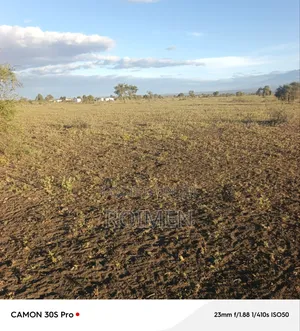 Commercial Land