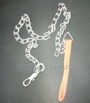 Dog Chain Training Leash