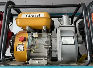 Girasol Wp20x Gasoline Water Pump,2 Inches