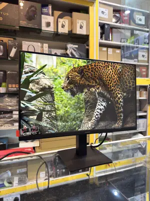 Samsung Ls22d300gamxue 22-Inch Ips Fhd(1080p) 100hz Frameless Monitor