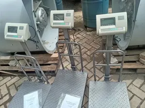 A12 Digital Weighing Machine 300kgs