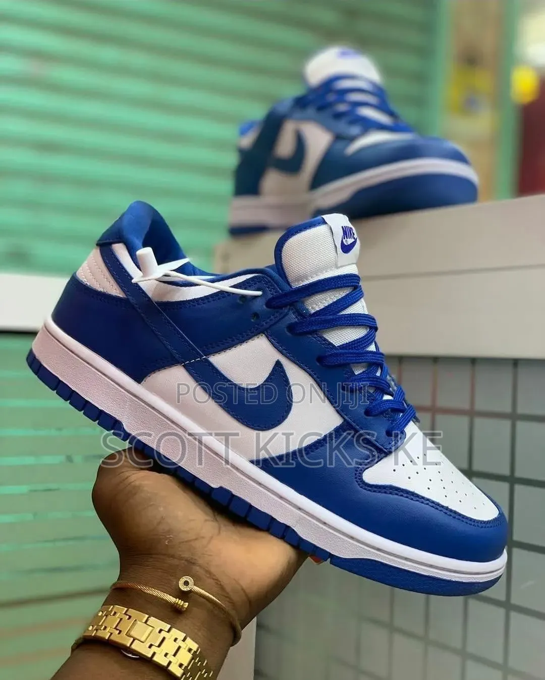 Nike Sb Dunks Blue White