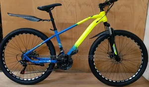 Size 24 Bike