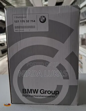 BMW Group Air Filter - 