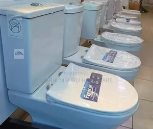 Toilet One Body Toilet Blossom