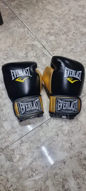 Everlast 16oz Boxing Gloves