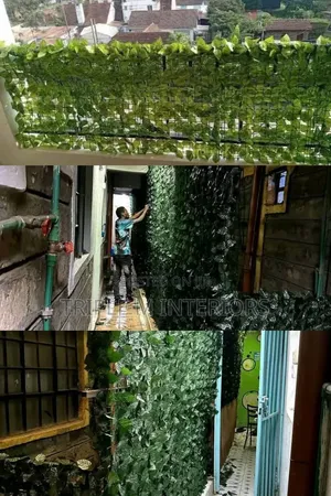 Nature’S Curtain for Your Balcony Railings