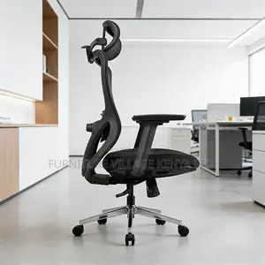 Ergonomic Chair