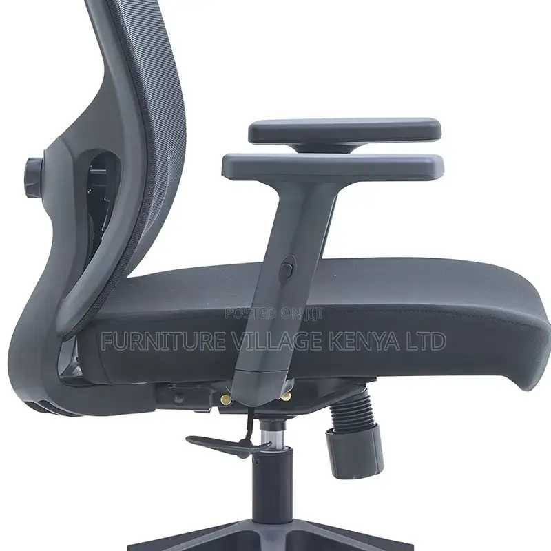 Ergonomic Chair