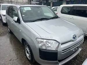 Toyota Probox 2019 Silver