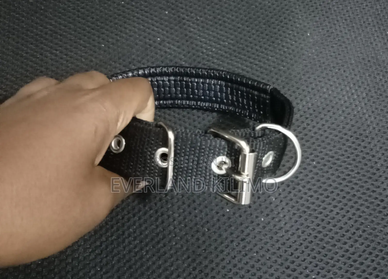 Small Heavy Duty Dog Collar