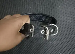Small Heavy Duty Dog Collar