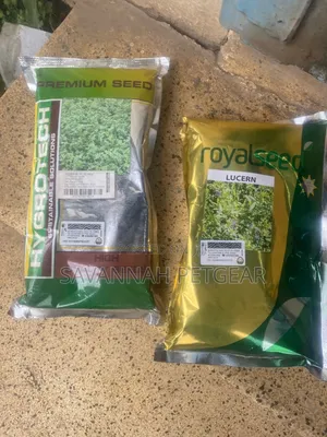 Lucerne (Alfalfa) Seeds Packaged for Kenyan Agricultural Use - 1kg