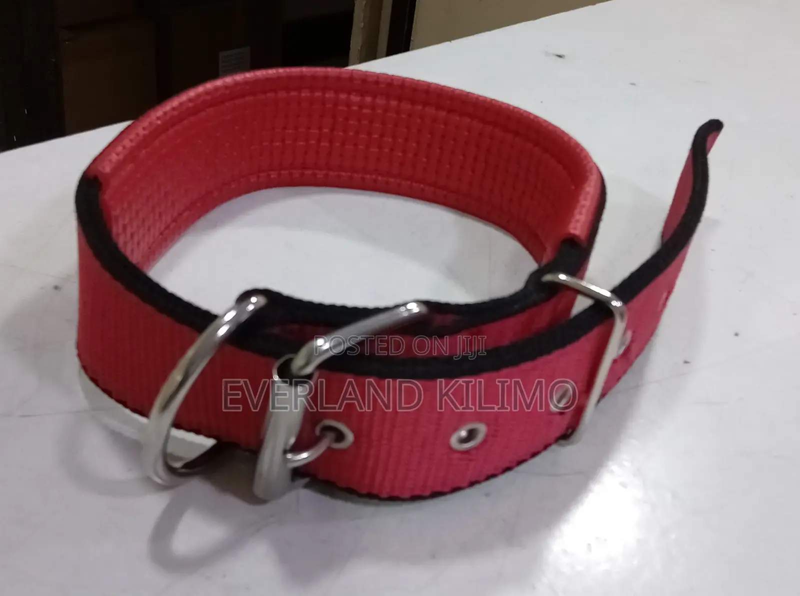 Medium Dogs Collars