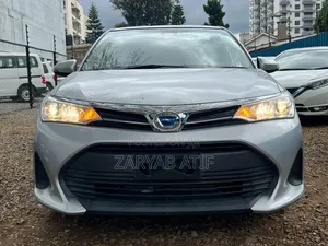 Toyota Corolla Fielder 2018 Silver