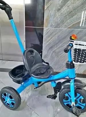 Kids Tricycle With Push Handle ,Developmental Learning Tool