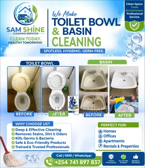 Toilet Cleaning