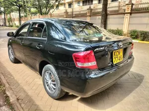 Toyota Axio 2010 Black