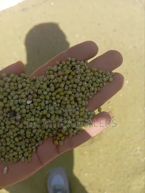 Premium Quality Ndengu (Green Grams)
