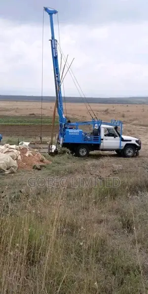 Borehole Pump Lifters and Lowering