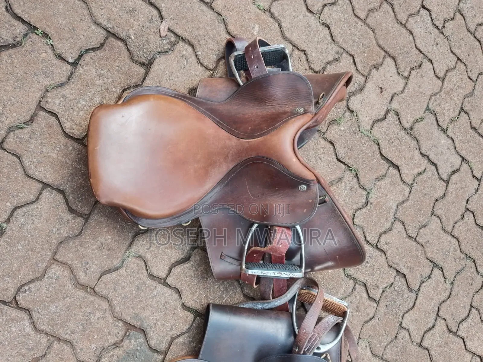 Horses Riding Equipment